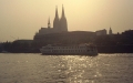 Cologne