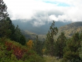 Kings Canyon National Park