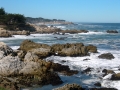 Route 101