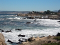 Route 101