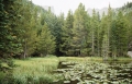 Rocky Mountains National Park, Colorado