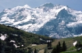 Scheidegg