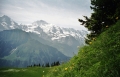 Schynige Platte, Alpine Gardens