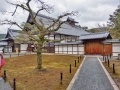 Golden Pavilion, Kyoto