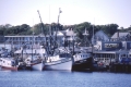 Cape Cod, Mass