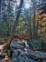 The Basin at Franconia Notch NH