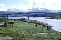 Saltstraumen Bridge, Bodo