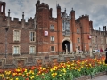 Hampton Court Tulip Display