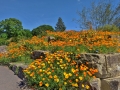 Kew Gardens Spring