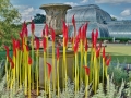 Kew Gardens Glass Exhibition (2019)