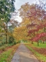 Kew Gardens Autumn