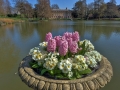 Kew Gardens Spring