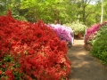 Isabella Plantation (2006)