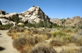 Joshua Tree National Park