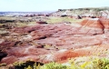 Painted Desert National Park