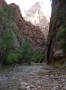 Zion National Park