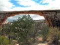 Arches National Park