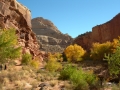 Capitol Reef National Park