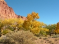 Capitol Reef National Park