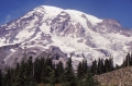 Mount Rainier