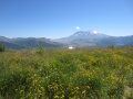 Mount St Helens