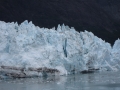 Glacier Bay, Alaska