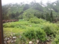 Skagway rail trip towards Yukon